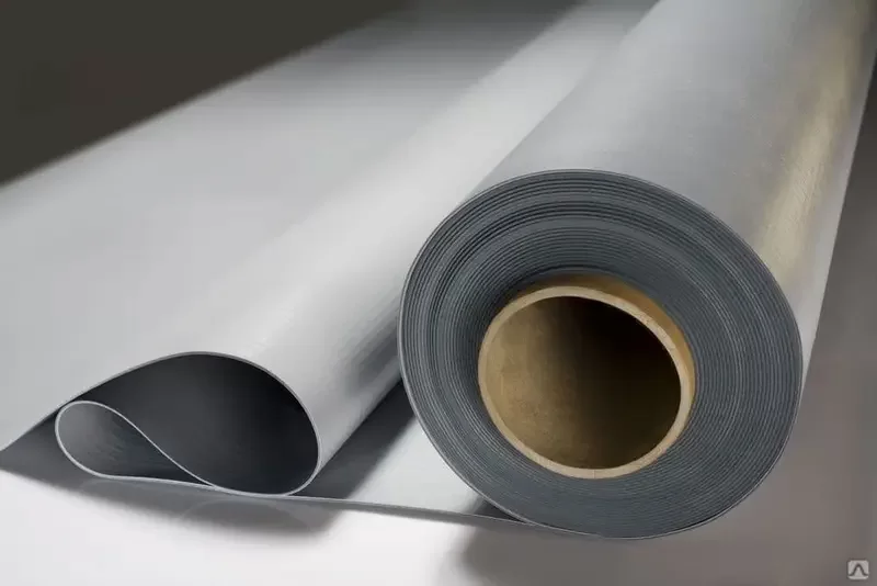 {title}